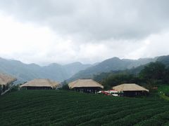 -优游吧斯邹族文化部落