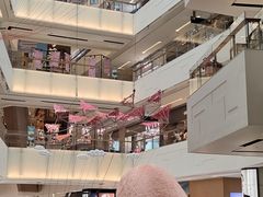 -岭南站NOVA