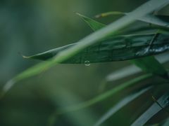 -泉城欧乐堡戏水湾艺术养生温泉