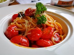 -百好乐宠物友好餐厅(朝外大街店)