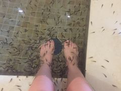 -中家鑫园温泉酒店鑫悦汤泉