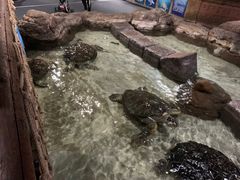-杭州海底世界