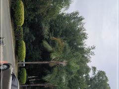 -福建鲤鱼洲酒店