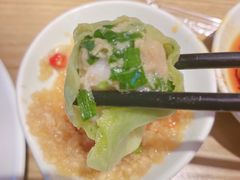 -船歌鱼水饺(华联万柳店)