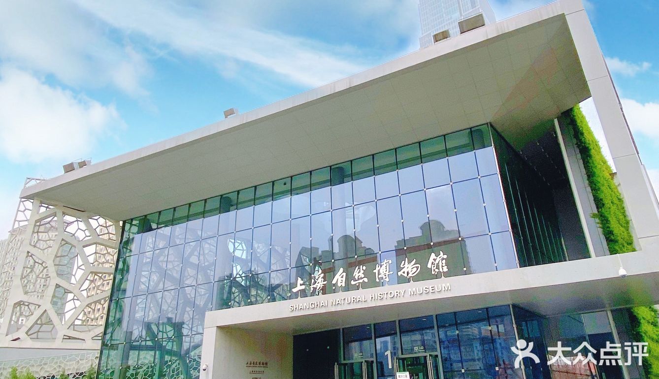 攻略 | 静安区0元不排队赏樱🌸保姆级指南建议收藏