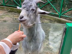 -杭州野生动物世界