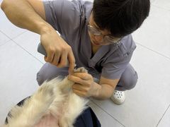 -达爱动物医院·犬猫分区·CT·复杂眼科(远洋山水分院)