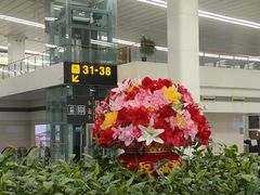 -石家庄正定国际机场-T2航站楼