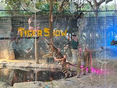 -清迈夜间动物园