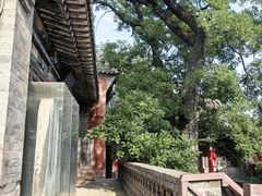 -店头古堡