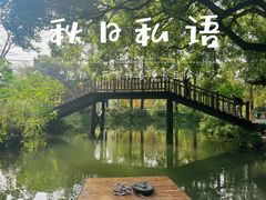-西湖游船