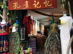 -西双版纳原始森林公园