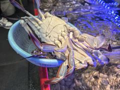 -金海湾海鲜排档(朱家尖店)