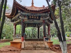 -昆明动物园