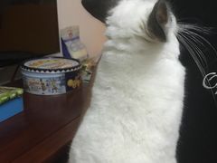 -雨林宠物医院 非犬猫异宠专科
