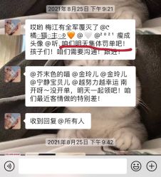 -紫御国际抗衰ZOE ANTI AGING