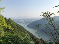 -铁山坪森林公园