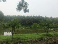-东郊湿地公园