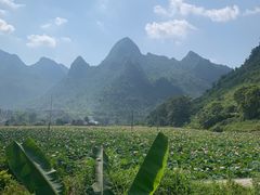 -长寿村