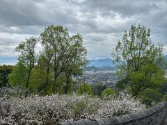-台州府城(江南长城)