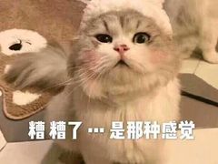 -经禅和·中医推拿(奥体恒山路店)