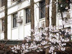-鸡鸣寺