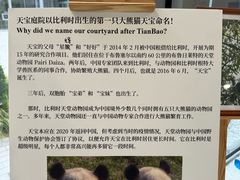-三里屯东五街银杏大道