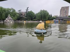 -团结湖公园