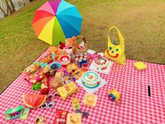 -长白岛森林公园