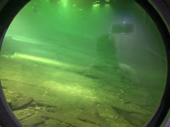 -白鹤梁水下博物馆