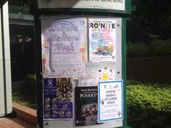 -香港大学