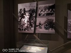 -烟台市博物馆