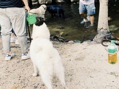 -碓臼峪自然风景区