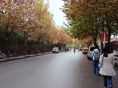 北苑路-南京财经大学(仙林校区)