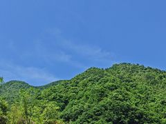 -石台牯牛降景区