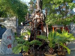 -大槐树寻根祭祖园
