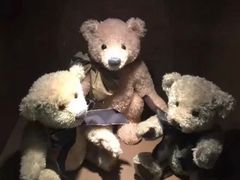 -济州岛泰迪熊博物馆