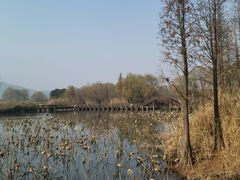 -长兴太湖图影湿地文化园