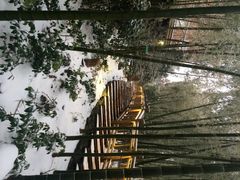 江南天池高山温泉-江南天池高山汤泉城