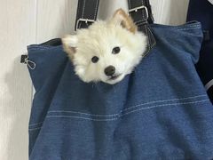 -庐州太太(南七里店)