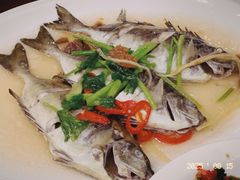 -长平肥姐白粥·海鲜打冷