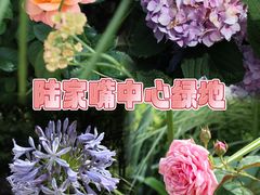 -陆家嘴中心绿地