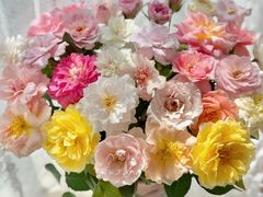 -循礼门鲜花花市(武汉循礼门店)