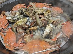 -农家乐大锅台铁锅炖(四流中路店)