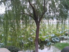 景点-后襄河公园
