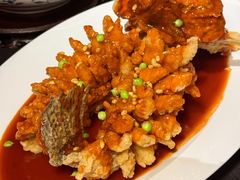 -RIVIERA 松鹤楼(外滩店)