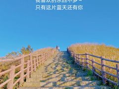 -大围山国家森林公园