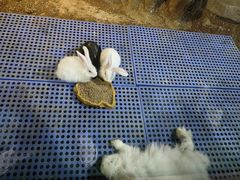 -苏州海洋馆