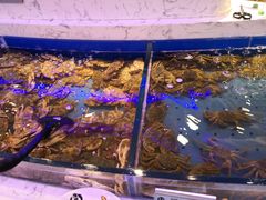 水产区-澜悦港海鲜体验主题餐厅