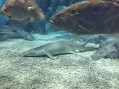 -福州罗源湾海洋世界旅游区